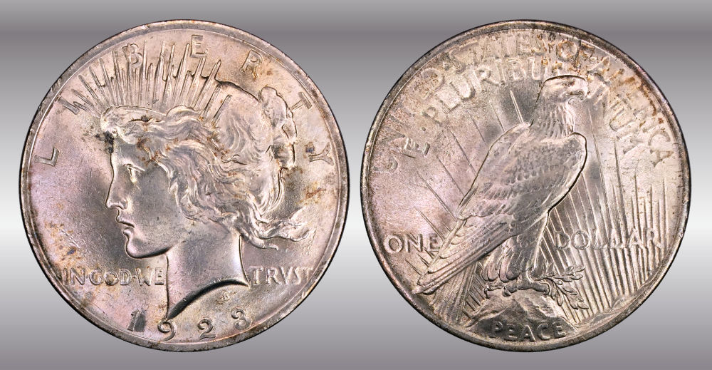 My-Raw-Peace-Dollar-Collection.-.-.-.-Warning!